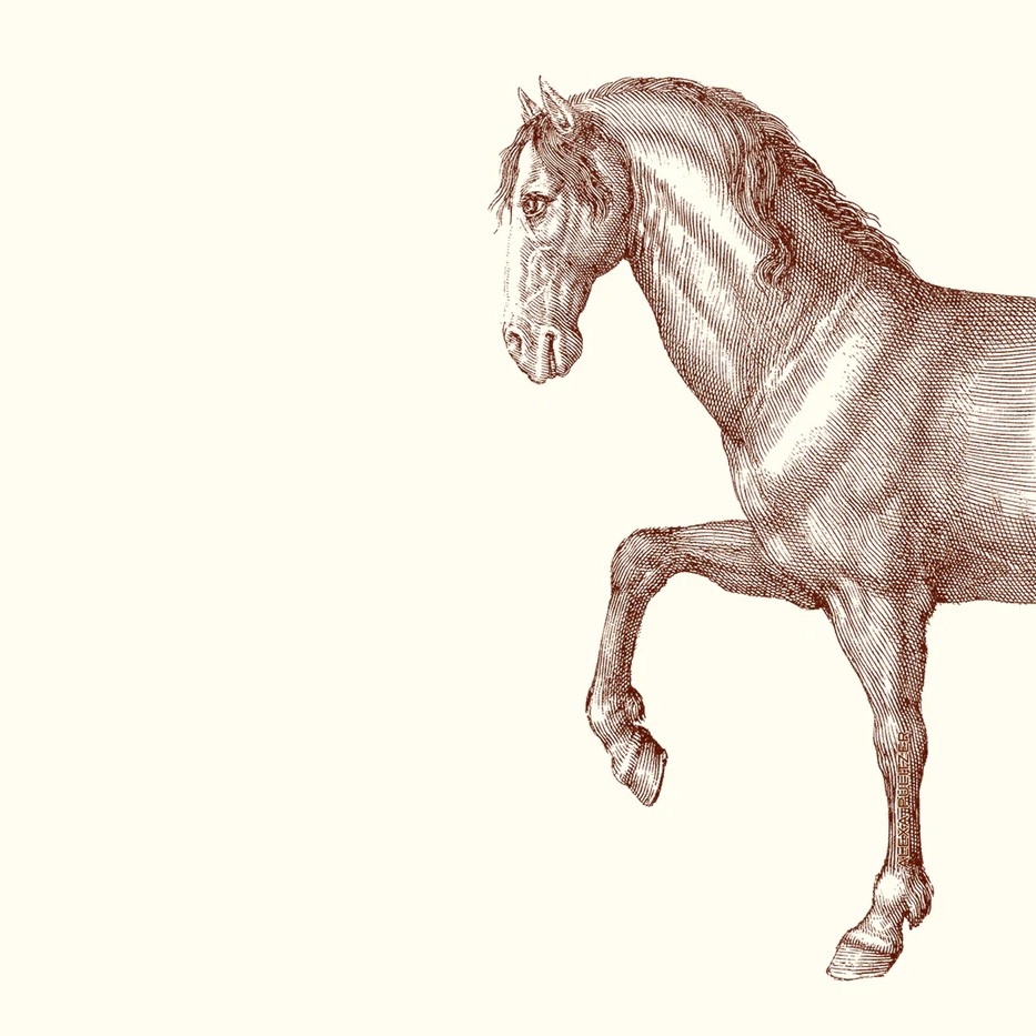 Prancing Horse Notecards & Envelopes (10)