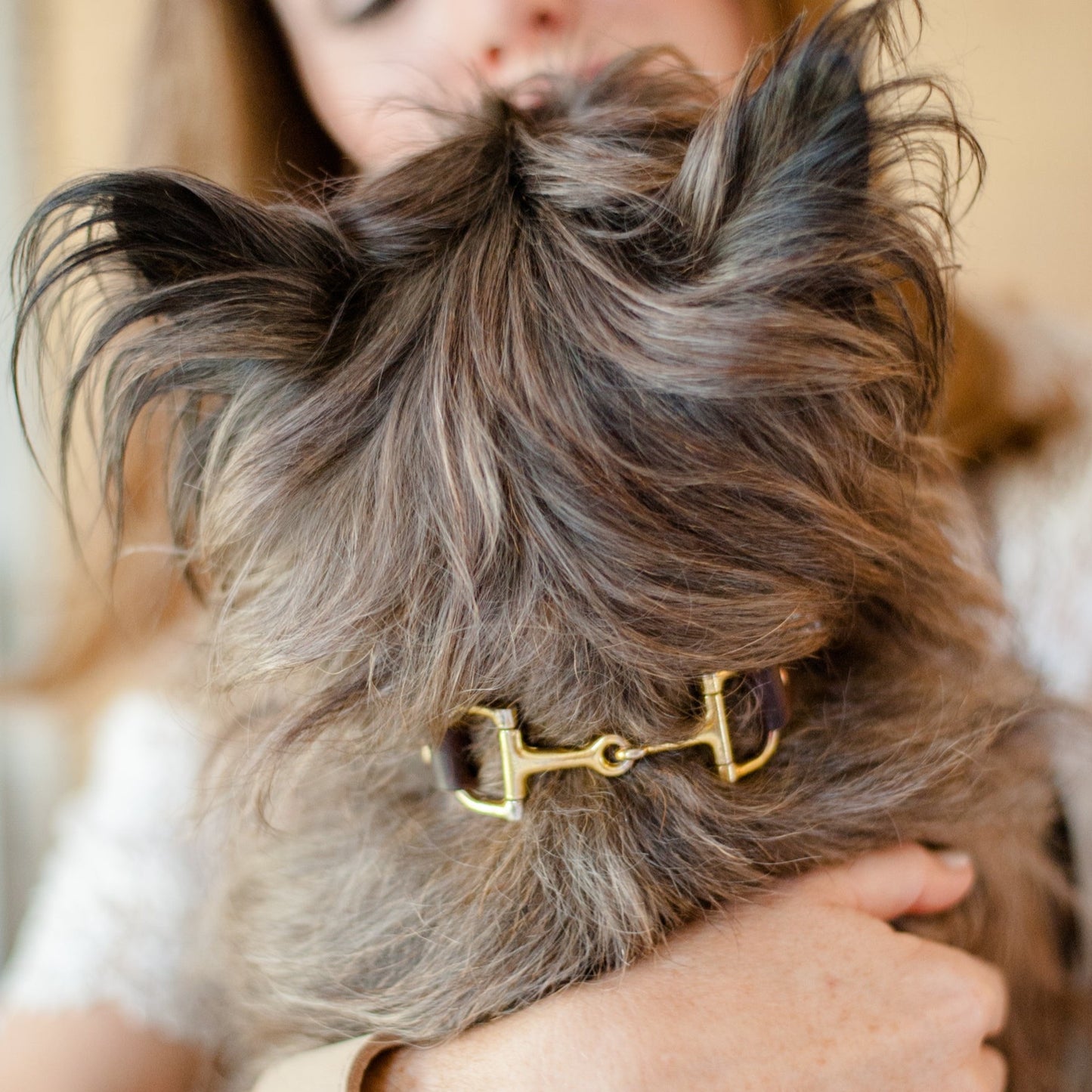 Ellie Snaffle Bit Collar