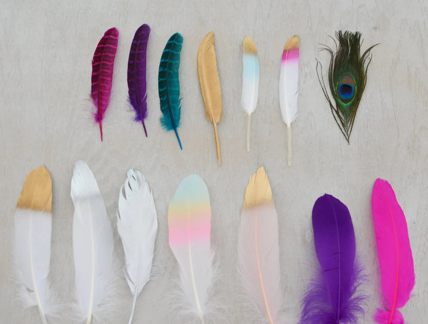 Mane Feathers for your Horse