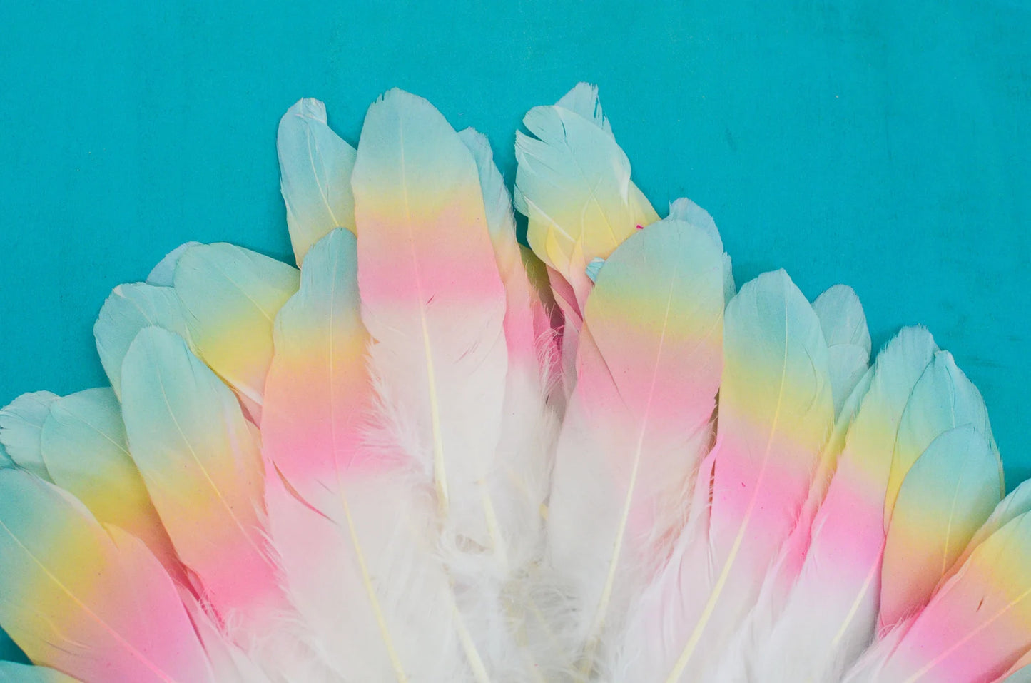 Mane Feathers for your Horse