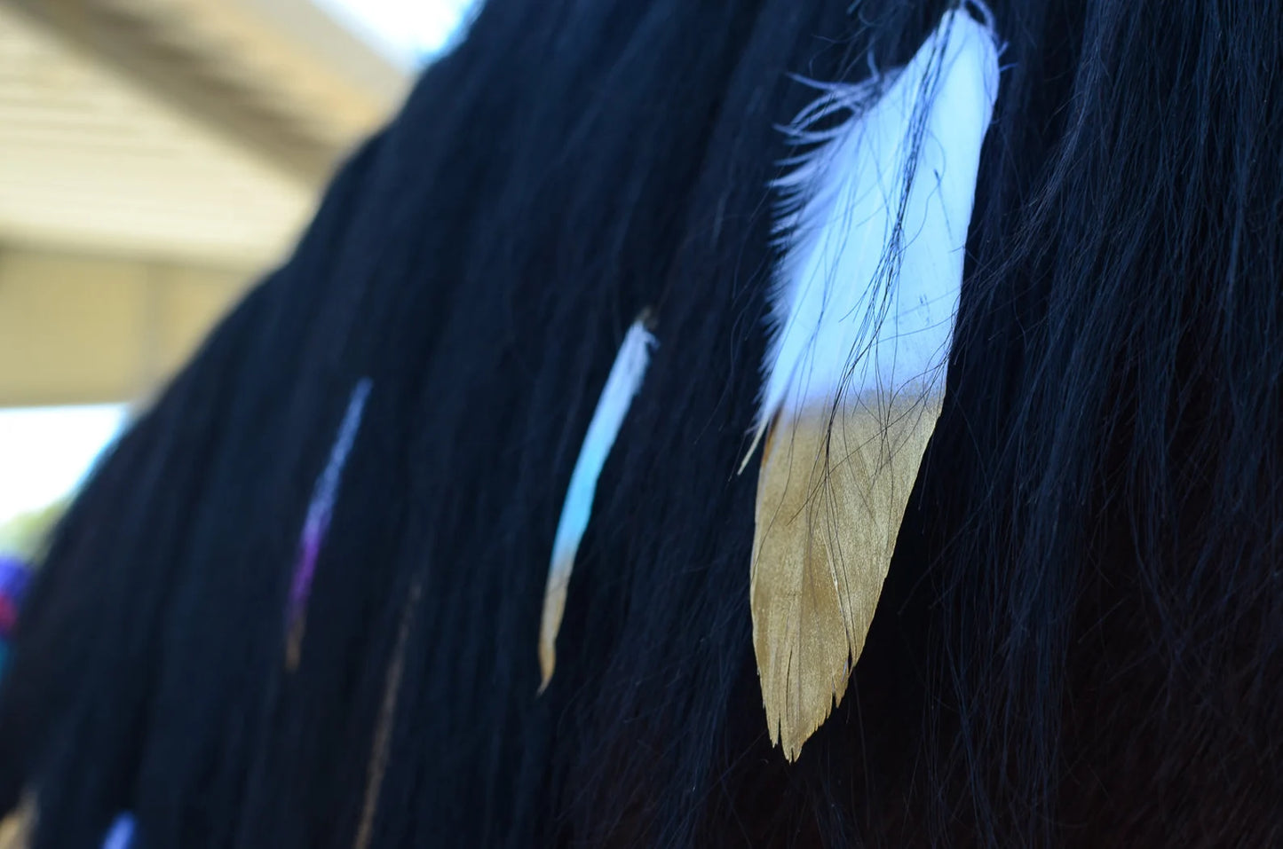 Mane Feathers for your Horse
