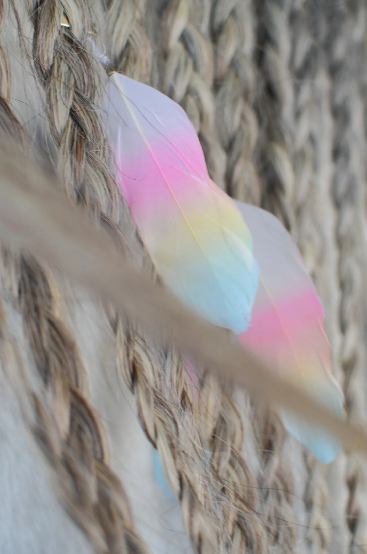 Mane Feathers for your Horse