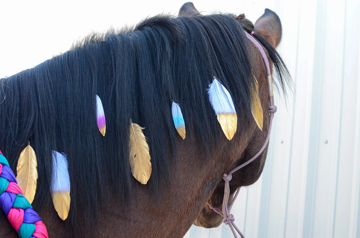 Mane Feathers for your Horse